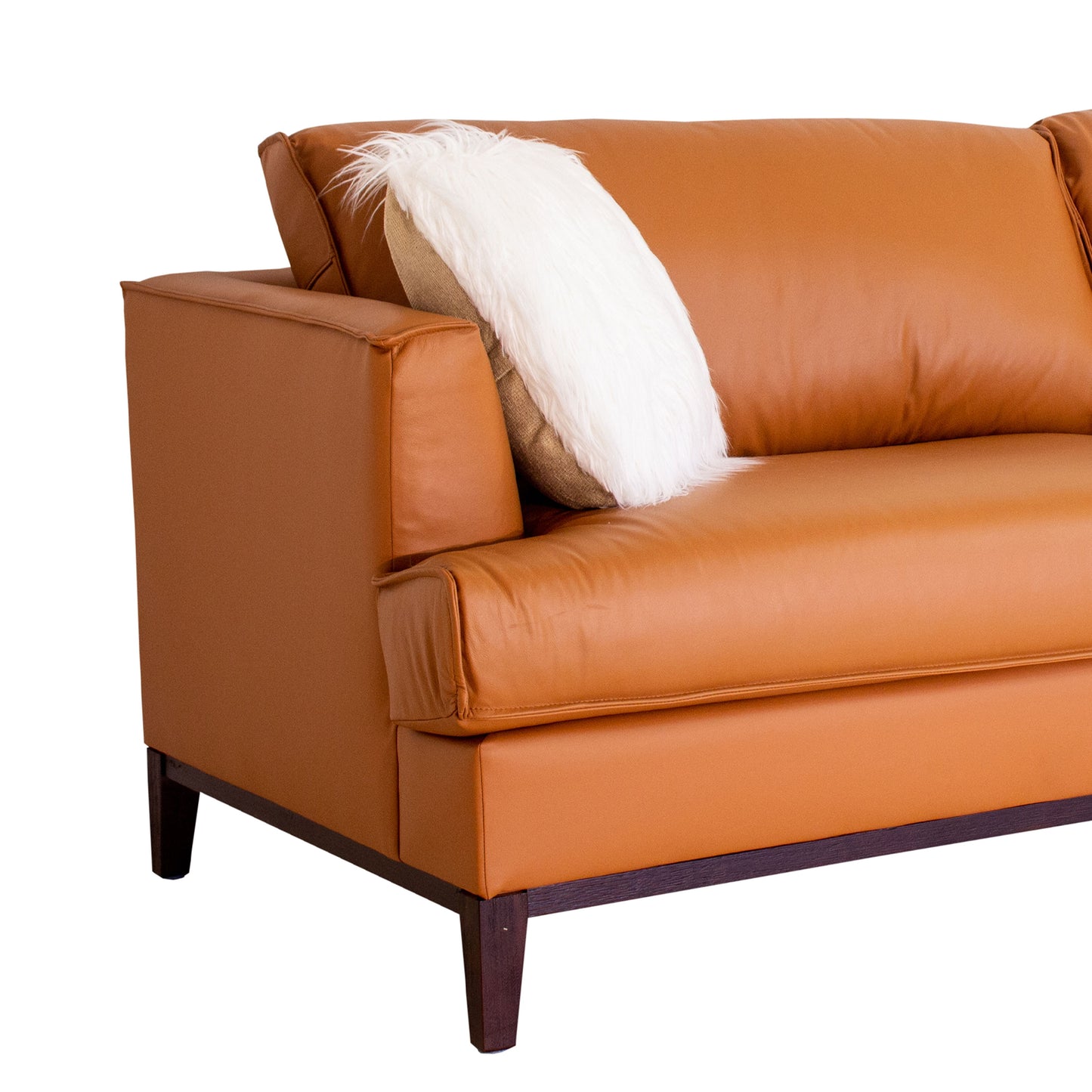 Aspen - Top Grain Leather Sofa