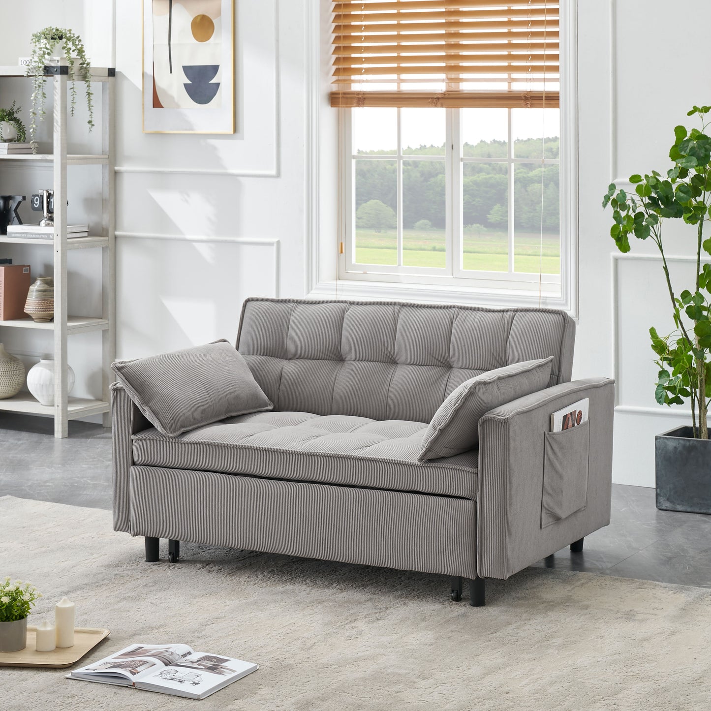 Two-Seat Casual Sofa With Pull Out Bed, Living Room Furniture